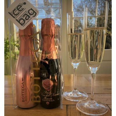 Bottega Prosecco and Moscato mini 4 x 20cl bottles in ice gift bag from Easy Wine Shop