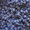 Vision4ever 50 Gram Purple Color Party Cupcake Sprinkles Edible Mini Glimmer Stars Cake Toppers Decorations Birthday With Attractive Looks view 1