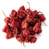 Trinidad Moruga Scorpion Dried Pods 200g- Chilliwizards view 2
