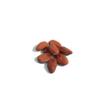 Cacao Criollo Grains from Southern Mexico view 3