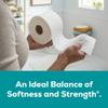 Angel Soft Toilet Paper, 48 Mega Rolls = 192 Regular Rolls, Soft and Strong Toilet Tissue view 2