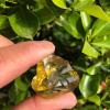 100g Natural Rough Citrine Stone raw Citrine Crystal Stones for Home Decoration view 2