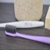 Adult Medium Wheat Fiber Toothbrushes (Kit of 5) | Adult Medium Intensity Charcoal Toothbrushes Dental Care | Sustainable and Recyclable view 4