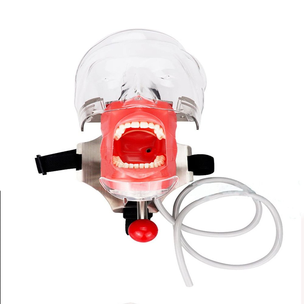 Dental Phantom Head Model, Dental Simulator Manikin with Silicone Mask and Removable Tooth Model, Dental Models for Dental Students Training, 360 Degree Rotation Design(Size:Tied to a chair)
