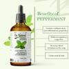 100ML Large Peppermint Essential Oil, 100% Natural, Pure & Undiluted, Best for Hair, Dandruff, Skin, Face, Cold, Congestion, Steam & Diffuser view 3