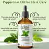 100ML Large Peppermint Essential Oil, 100% Natural, Pure & Undiluted, Best for Hair, Dandruff, Skin, Face, Cold, Congestion, Steam & Diffuser view 4