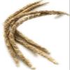 Gongolili Vetiver roots/Khus roots/stem bundle (Large rods 40g) view 3