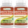 Best Naturals Bilberry Extract 1000mg for Healthy Vision, 90 Count (90 Count (Pack of 2)) view 1