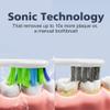 7AM2M Sonic Electric Toothbrush for Adults and Kids, One Charge for 90 Days, with 6 Brush Heads, 5 Modes with 2 Minutes Build in Smart Timer, Roman Column Handle Design (Pink) view 3