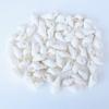 100 Pieces Small Beautiful Top Rare Real Sea Shell Conches Xmas Gift Comfortable and Environmentally view 2