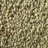 Ethiopian Green Coffee Beans Yirgacheffe Green/Raw 100% Arabica Coffee Beans For Home Roasting (10kg) view 4