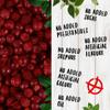 Healthy Future Freeze Dried Red Currant | Lyophilised Whole Fruit, Not Irradiated | 100% Natural, Vegan, Kosher | Free from Gluten, Sulphur, Preservatives, Added Sugar, GMO | 1 Pack of 500 g view 4