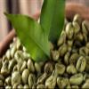 Green/Brown Coffee Beans Roasted/Unroasted Ethiopian Beans Whole Beans Home Roasting Coffee (Unroasted, 1kg) view 3