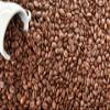 Ethiopian Green/Brown Coffee Beans Raw Beans/Roasted Beans Arabica Coffee Beans (1Kg) (Roasted) view 2