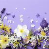 20 Cocktail Napkins Spring on Purple Flowers Easter Table Decoration 24 x 24 cm view 1