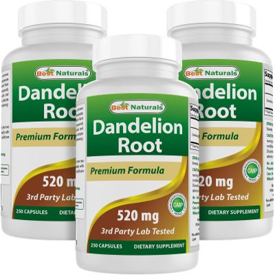 Best Naturals Dandelion Root 520 mg 250 Capsules (250 Count (Pack of 3))