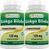 Best Naturals, Ginkgo Biloba Extract - Double Strength Ginkgo Biloba, 120mg, 120 Capsules (120 Count (Pack of 2)) view 1