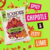 Boundless Activated Chips - Gut Health Vegan Crisps Multipack - Chipotle & Lime - Gut Friendly Pea Protein Crisps - Gluten Free Snacks, Vegan Protein Snacks, Healthy Snacks Bulk Pack of 24 x 23g view 2