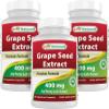 Best Naturals GrapeSeed Extract 400 mg Veggie Capsule, 120 Count (120 Count (Pack of 3)) view 1
