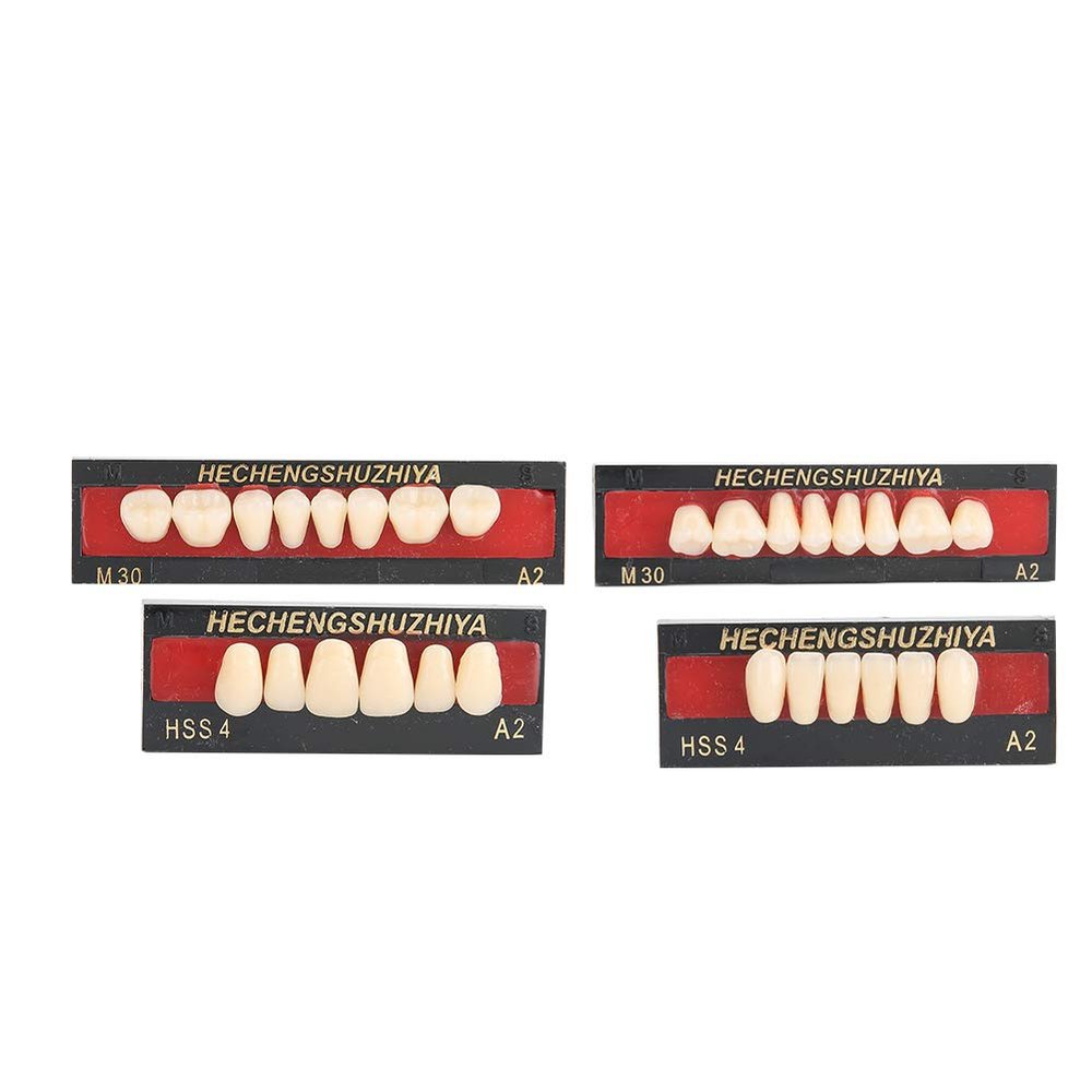 False Teeth, Material Synthetic Resin False Teeth Filling Denture Tooth Care Tool Set of Resin Denture Temporary Tooth Repair