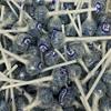 50 x Blue Raspberry view 1