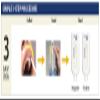 OraQuick HIV Self Test - CE Marked, 99.8% Accurate, Just Swab Your Gums view 4