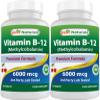 Best Naturals Vitamin B-12 as Methylcobalamin (Methyl B12), 6000 mcg 120 Sublingual Tablets (120 Count (Pack of 2)) view 1