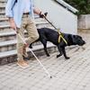 AYNEFY Folding Walking Stick, Reflective Cane for Blind People, Aluminium Alloy, White view 3
