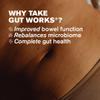 Gut Works | 6 Prebiotics and Probiotic Strains | 50 Billion CFU Bacteria Live Cultures | Daily Support for Gut Health | 30 Vegan Capsules | One-A-Day | DR.Vegan view 3