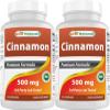 Best Naturals Cinnamon 500 mg 250 Capsules (250 Count (Pack of 2)) view 1