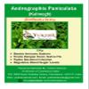 Yuktha Naturals Nilavembu Powder/Kalmegh/Siriyanangai/Andrographis paniculata - 200g/7 Oz view 1