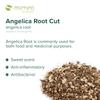 Mimea Angelica Root Cut | 5kg | Quality Ingredients | Great for Distilling | Natural | No Additives | Herbal Remedy view 2