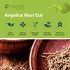 Mimea Angelica Root Cut | 5kg | Quality Ingredients | Great for Distilling | Natural | No Additives | Herbal Remedy view 4