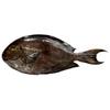 Surgeonfish | Chirurgien 1kg view 1