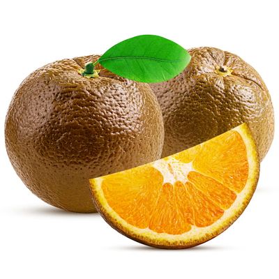 Navel Chocolate Orange 4kg | Premium Fresh Oranges with Chocolate Aroma | Juicy, Sweet & Rich Citrus Flavour