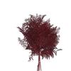 Vosteen Bracken Fern - Pack of 10 - Preserved - Length 60 cm, Width 40 cm - Bordeaux view 2
