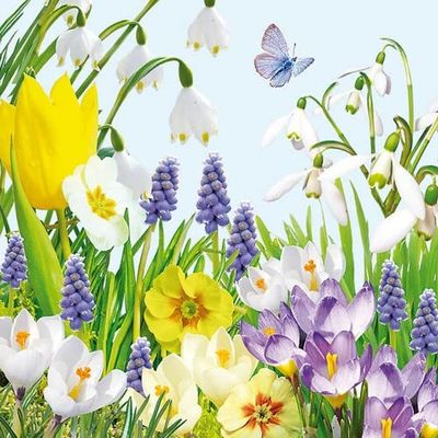 20 Napkins Colourful Spring Meadow Flowers Spring Summer Table Decoration 33 x 33 cm