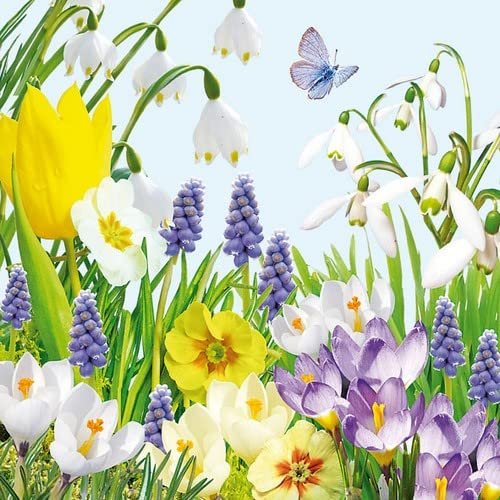 20 Napkins Colourful Spring Meadow Flowers Spring Summer Table Decoration 33 x 33 cm