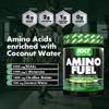 NXT Nutrition Amino Fuel Energy Drink | BCAAs Amino Acids with Beta Alanine, Vitamin D3 and Citrulline Malate  for Performance, Endurance and Energy Support | (Kiwi Lime) view 3