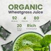 Organic Fresh Wheatgrass Shots | High Nutritional Content - Raw Wheatgrass Juice | Energy | Immune System | Performance | Digestion | Healthy Hair & Skin | 30 Shots Frozen | Britt's Superfoods view 3
