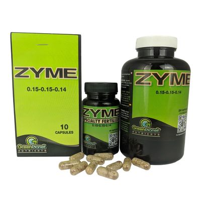 Zyme Capsules 100