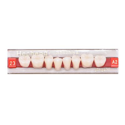 Angzhili 84 Pcs Dental Acrylic Resin Denture False Teeth 3 Sets Synthetic Polymer Resin Denture Teeth 23 Shade A2 Upper Dental Materials