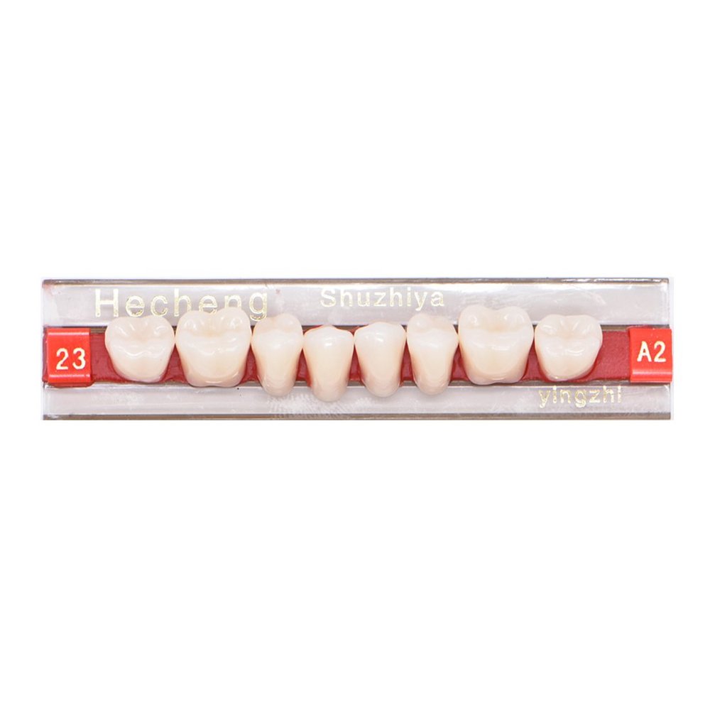 Angzhili 84 Pcs Dental Acrylic Resin Denture False Teeth 3 Sets Synthetic Polymer Resin Denture Teeth 23 Shade A2 Upper Dental Materials