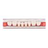 Angzhili 84 Pcs Dental Acrylic Resin Denture False Teeth 3 Sets Synthetic Polymer Resin Denture Teeth 23 Shade A2 Upper Dental Materials view 1