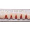 Angzhili 84 Pcs Dental Acrylic Resin Denture False Teeth 3 Sets Synthetic Polymer Resin Denture Teeth 23 Shade A2 Upper Dental Materials view 3