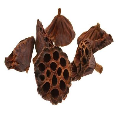 advanced nutrition Lotus Heads Medium Natural 6-8cm