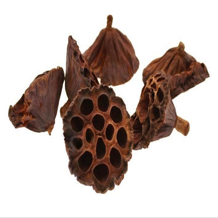 advanced nutrition Lotus Heads Medium Natural 6-8cm
