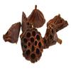 advanced nutrition Lotus Heads Medium Natural 6-8cm view 1