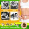 30/60Pcs Mugwort Navel Sticker, Herbal Slimming Tummy Pellet, Natural Herbal Chinese Medicine Belly Sticker for Women and Men (30pcs) view 2