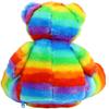 Getagift Anniversary Being My Wife Is Really The Only Gift You Need Birthday Valentines Day Soft Toys, Teddy Bear. (Rainbow Bear) view 3